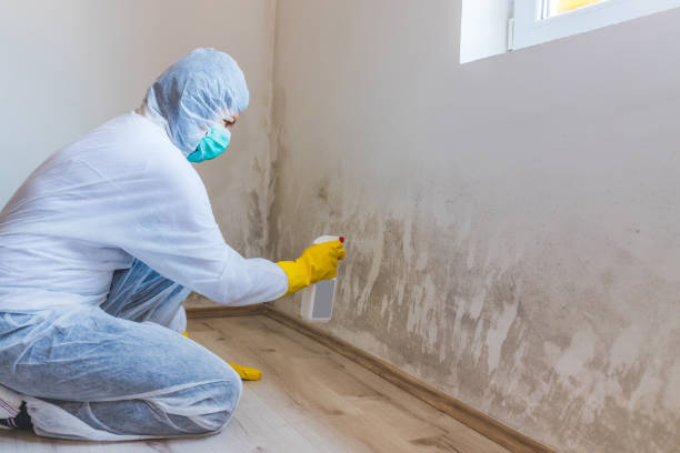 Commercial Mold Remediation assessment for commercial property in Topsfield